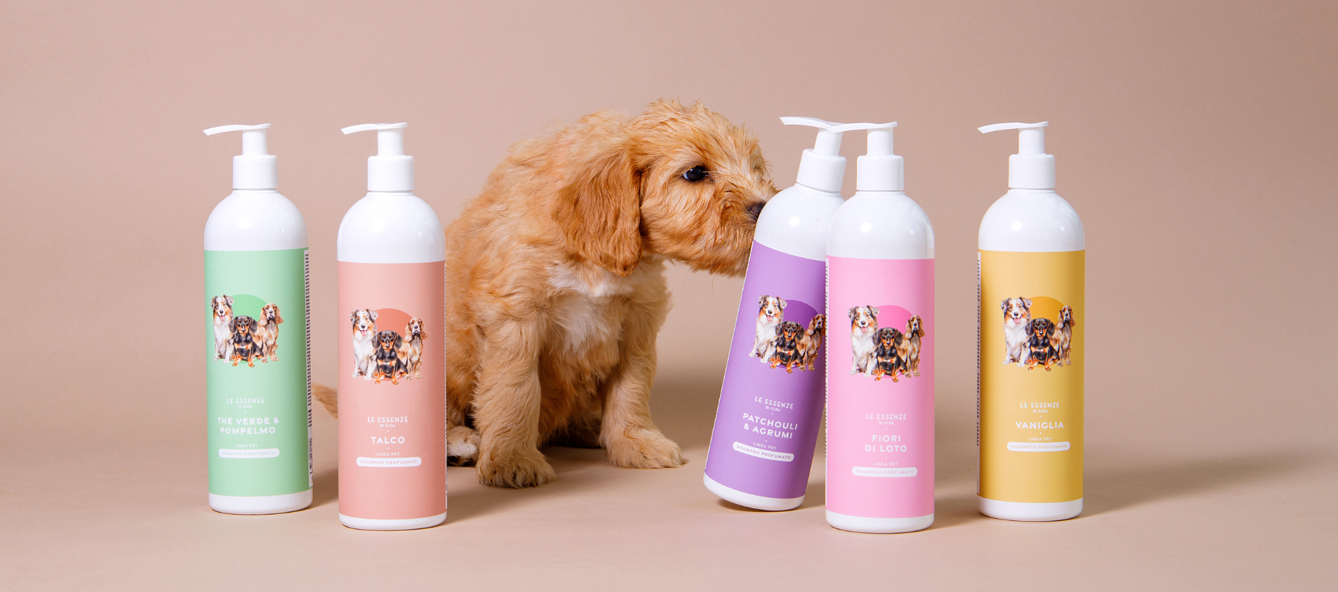 Hond wassen als een professional: zo doe je dat