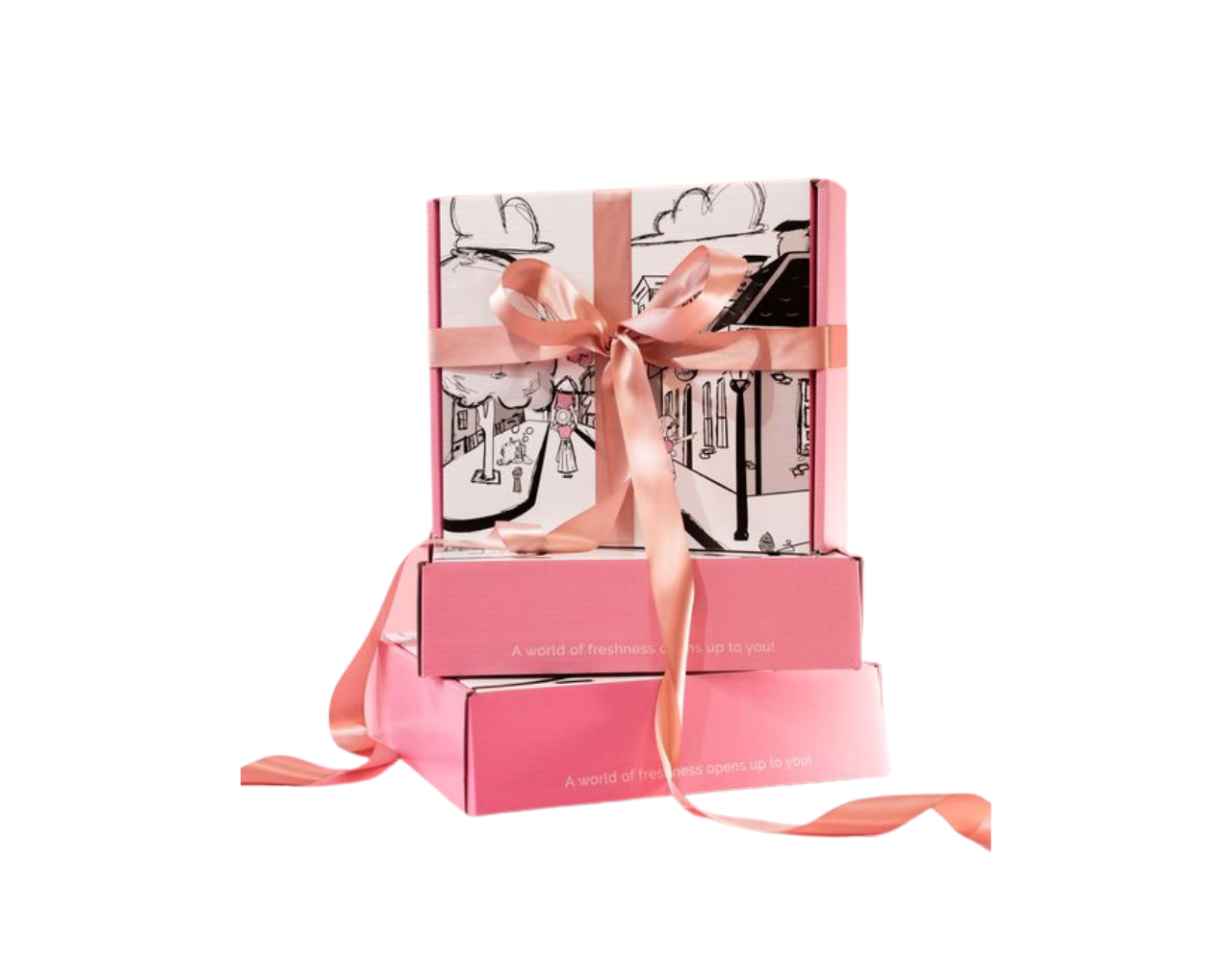 Cadeauverpakking €2,50