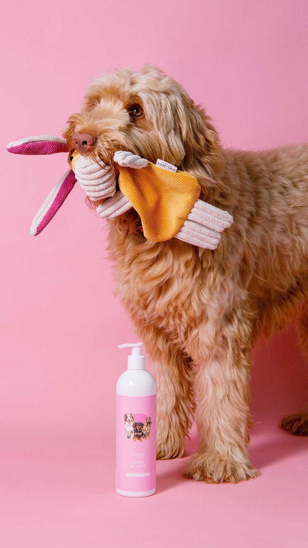 Hondenshampoo