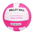 Volleybal