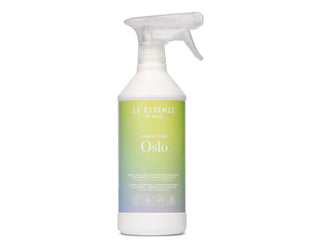 Allesreiniger Oslo Spray